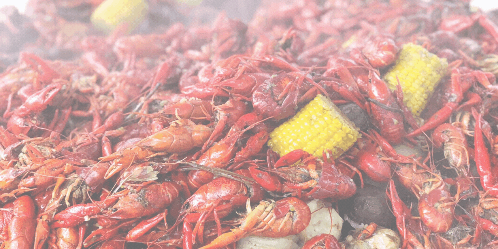 Ono Island Social Life: Crawfish, Cornhole, and Community Connection